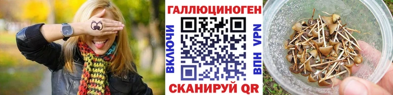 Галлюциногенные грибы Cubensis  Тарко-Сале 